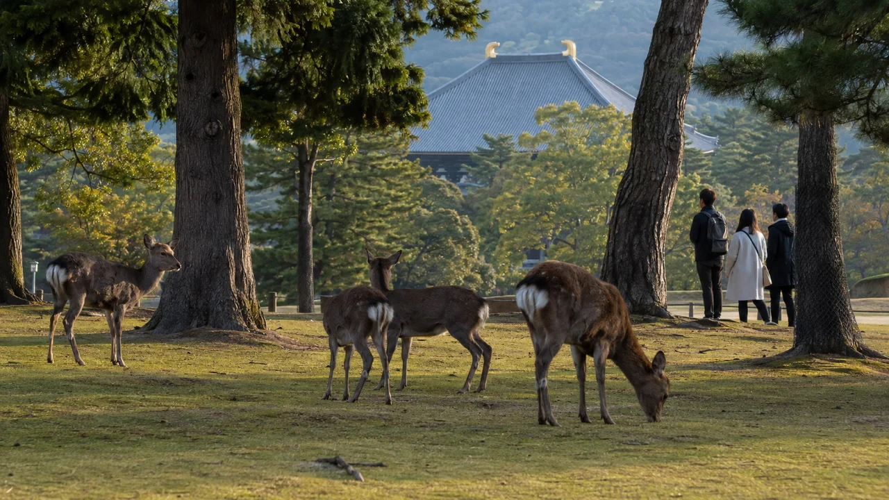 Nara Parkı’nda ağaçlar arasında otlayan sika geyikleri, uzakta tarihî tapınak çatısı ve mesafesini koruyan ziyaretçiler